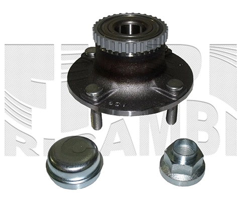 Wheel Bearing Kit (RC4469)