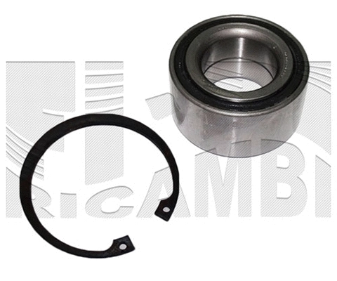 Wheel Bearing Kit (RC1712)