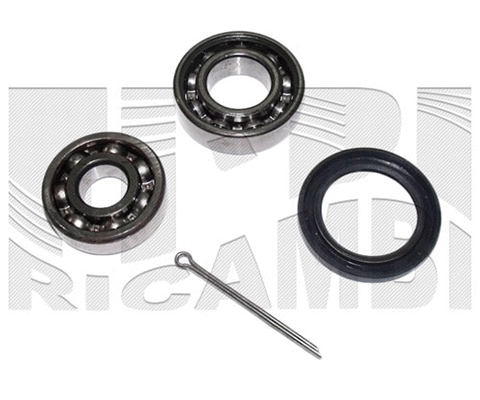 Wheel Bearing Kit (RC1720)