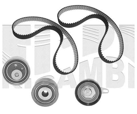Timing Belt Kit (0324KW)