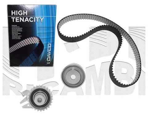 Timing Belt Kit (0308KF)