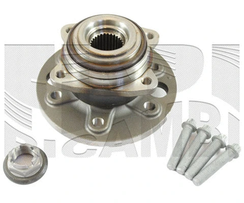 Wheel Bearing Kit (RC6811)