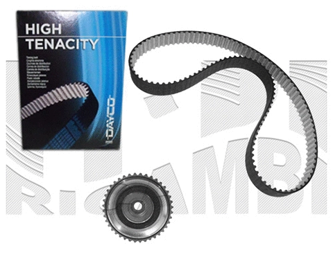 Timing Belt Kit (0219KF)
