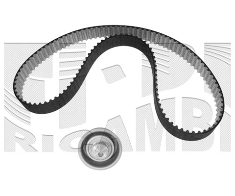Timing Belt Kit (0118KN)