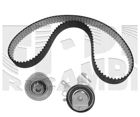 Timing Belt Kit (0495KP)