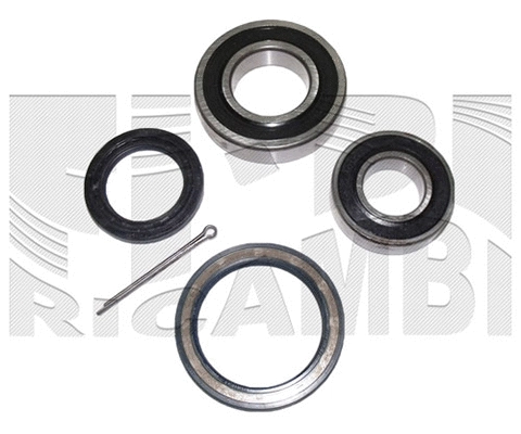 Wheel Bearing Kit (RC4921)