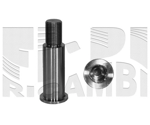 Bearing Journal, tensioner pulley lever (67568)