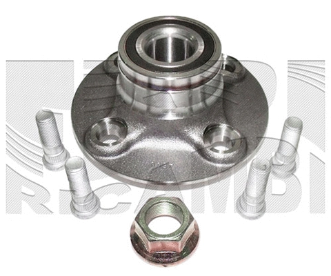 Wheel Bearing Kit (RC1334)