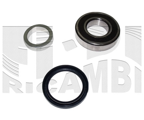 Wheel Bearing Kit (RC1525)