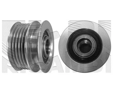 Alternator Freewheel Clutch (20461)