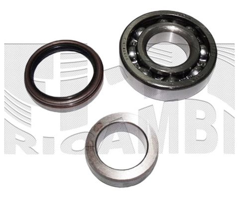 Wheel Bearing Kit (RC1606)