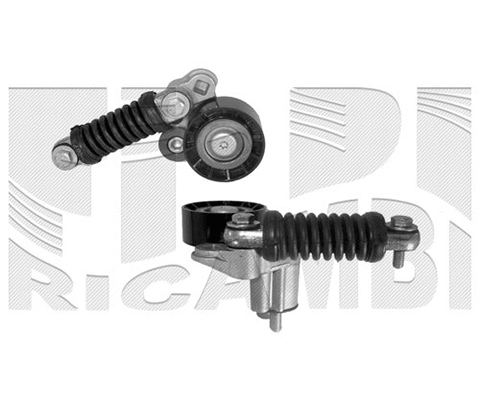 Belt Tensioner, V-ribbed belt (17069)