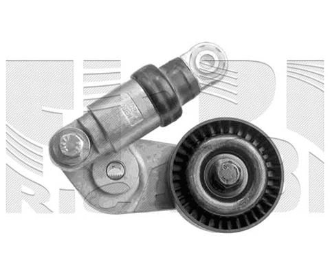 Belt Tensioner, V-ribbed belt (77369)