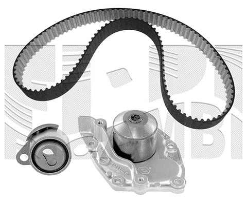 Water Pump & Timing Belt Kit (0192KRW)
