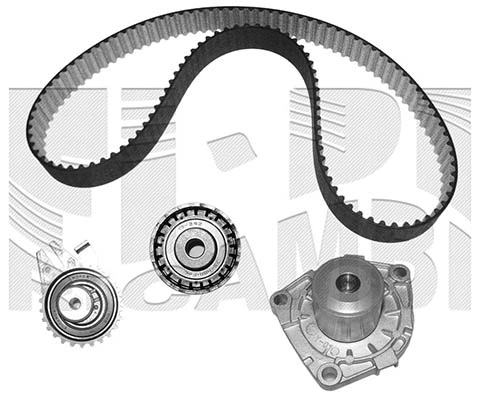 Water Pump & Timing Belt Kit (0516KOW)