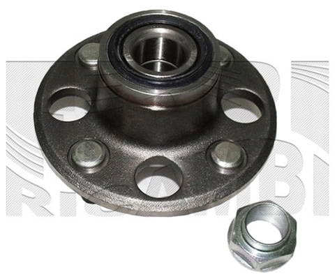 Wheel Bearing Kit (RC1725)
