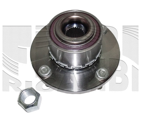 Wheel Bearing Kit (RC1977)