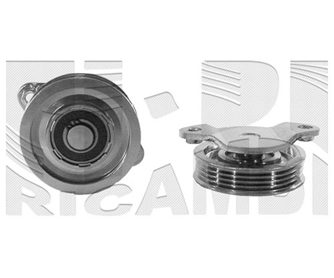 Belt Tensioner, V-ribbed belt (76268)