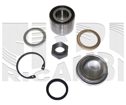 Wheel Bearing Kit (RC5029)