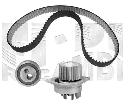 Water Pump & Timing Belt Kit (0002KPW)