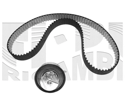 Timing Belt Kit (0499KM)