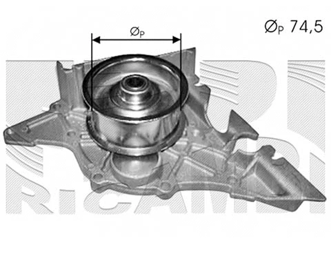 Water Pump, engine cooling (WPC409)