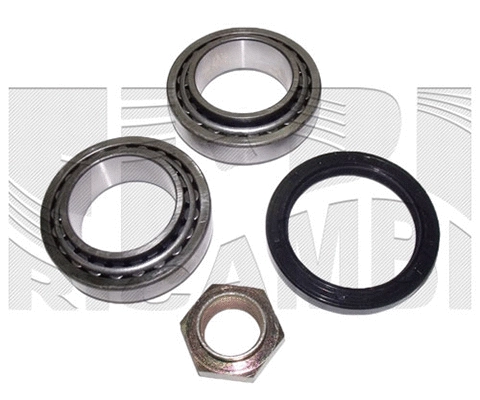 Wheel Bearing Kit (RC3036)