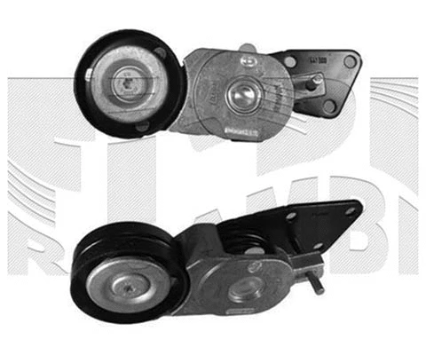 Belt Tensioner, V-ribbed belt (20662)