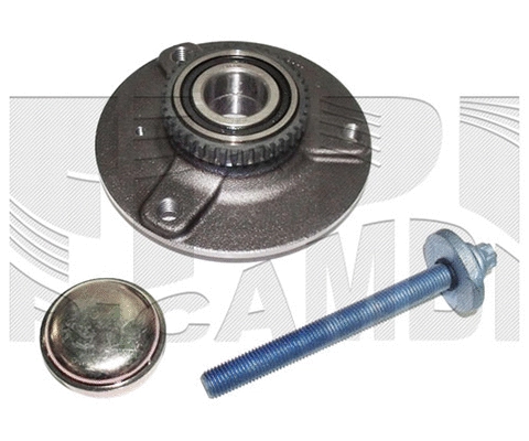 Wheel Bearing Kit (RC6733)