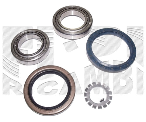 Wheel Bearing Kit (RC6739)
