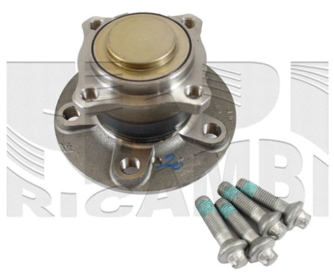 Wheel Bearing Kit (RC10570)