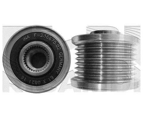 Alternator Freewheel Clutch (20365)
