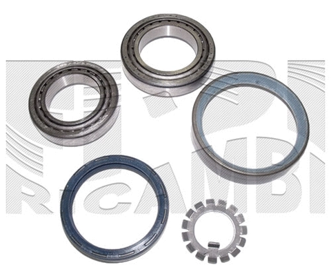 Wheel Bearing Kit (RC6738)