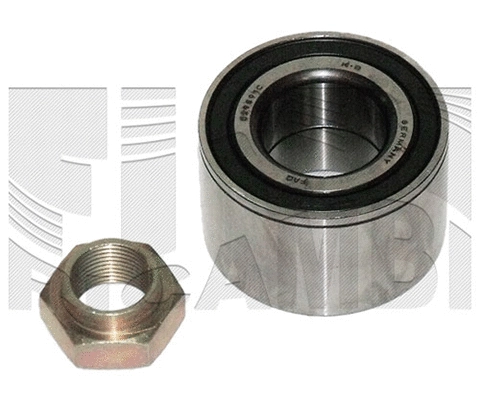 Wheel Bearing Kit (RC9110)