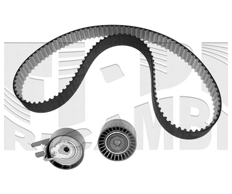 Timing Belt Kit (0201KP)