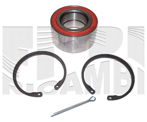 Wheel Bearing Kit (RC4417)