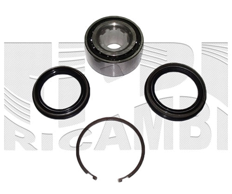 Wheel Bearing Kit (RC1303)