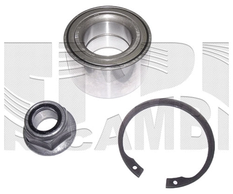 Wheel Bearing Kit (RC1692)