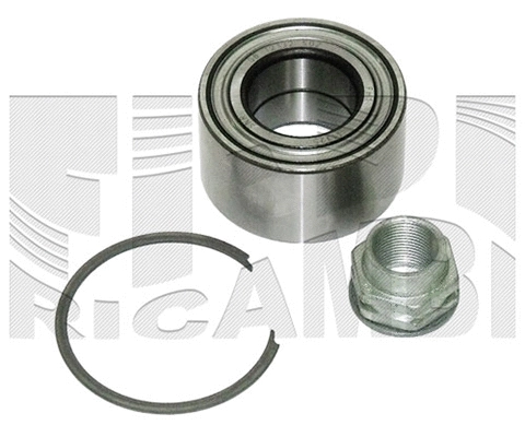 Wheel Bearing Kit (RC9067)
