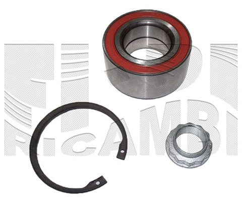 Wheel Bearing Kit (RC4928)