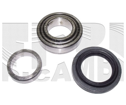 Wheel Bearing Kit (RC6023)