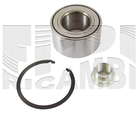 Wheel Bearing Kit (RC1879H)