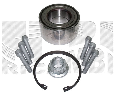 Wheel Bearing Kit (RC1063)