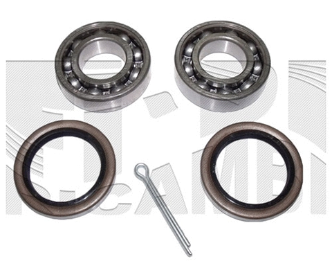 Wheel Bearing Kit (RC4920)