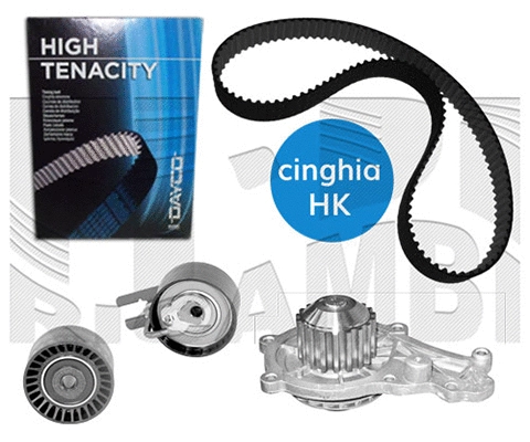 Water Pump & Timing Belt Kit (0393KFW)