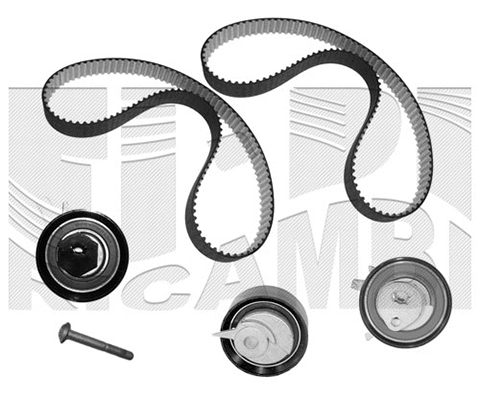 Timing Belt Kit (0440KW)