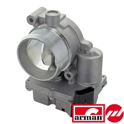 Throttle Body (L8066AS)
