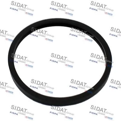 Seal, thermostat (M401660)