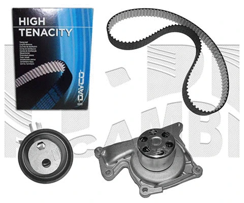 Water Pump & Timing Belt Kit (KATW1446B)