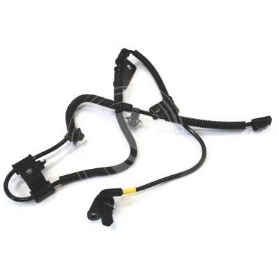 Sensor, wheel speed (L4844)